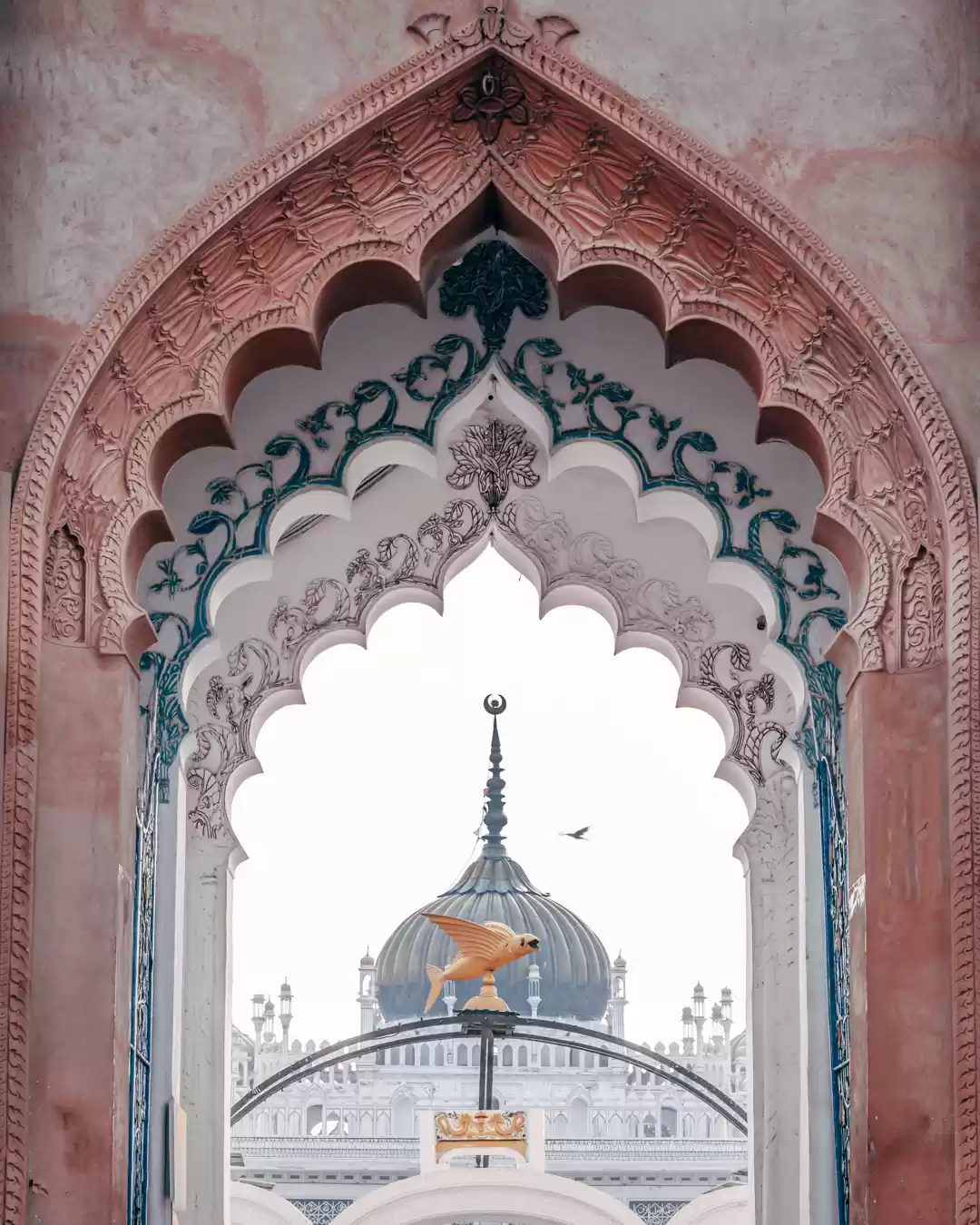 Photo of Perspective - An an