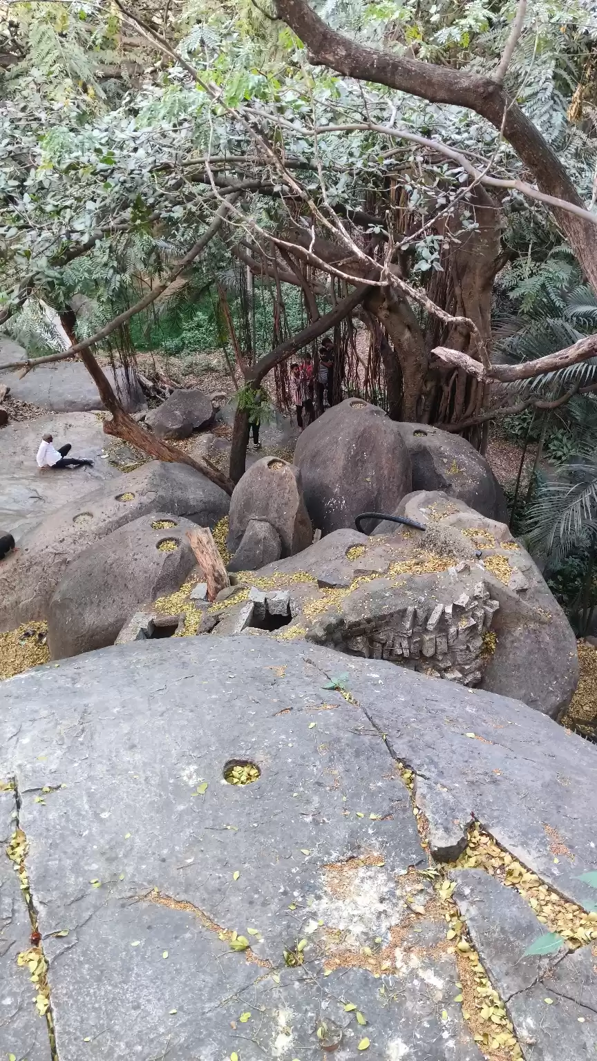 Photo of 5. Bugle Rock Park