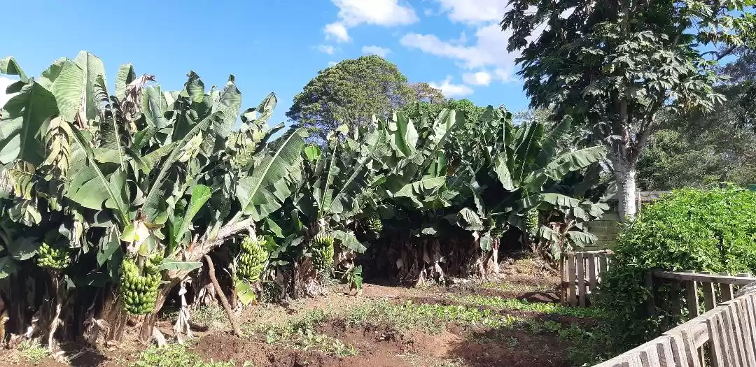 Photo of Mint Cafe Ndola