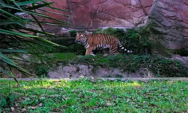 Photo of How I visited the Ro