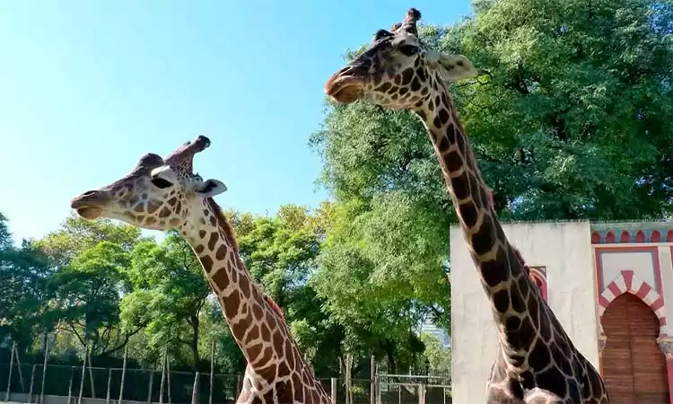 Photo of One day at Temaiken 