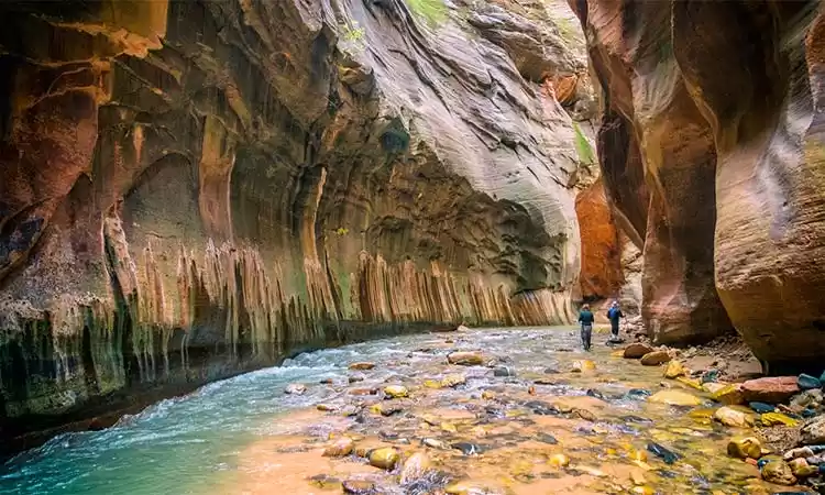Photo of Zion National Park i