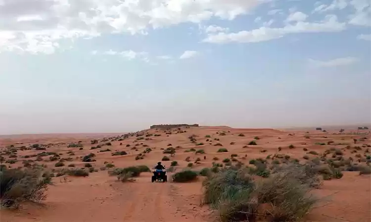 Photo of Adventure in the Sah