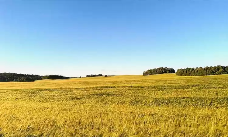 Photo of Charming villages: r