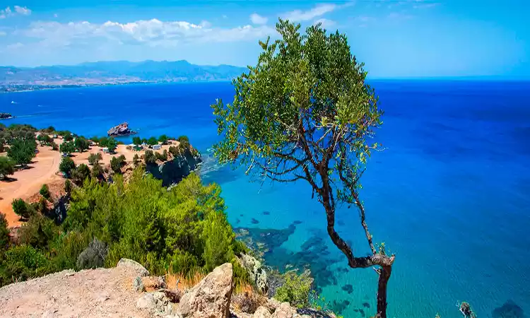 Photo of Discovering the hidd