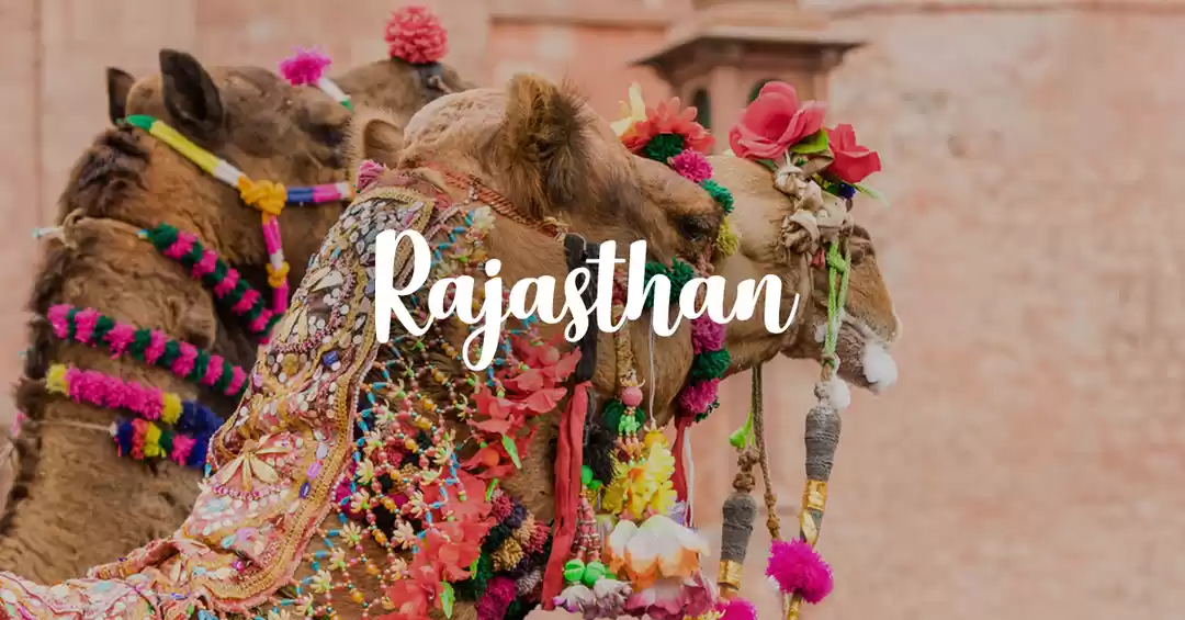 Photo of 4D/3N Rajasthan Royal Dessert Tour