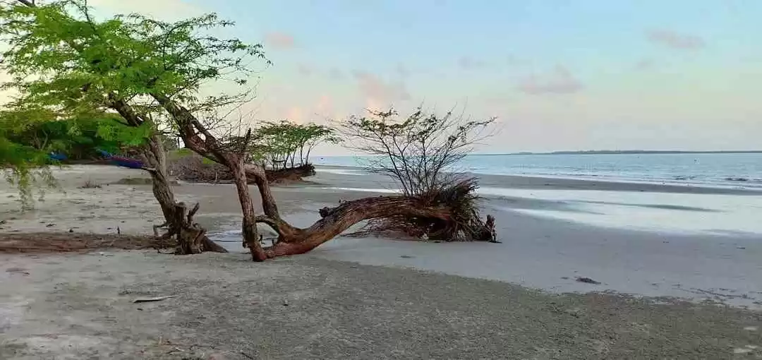 Photo of কলকাতার কাছাকাছ