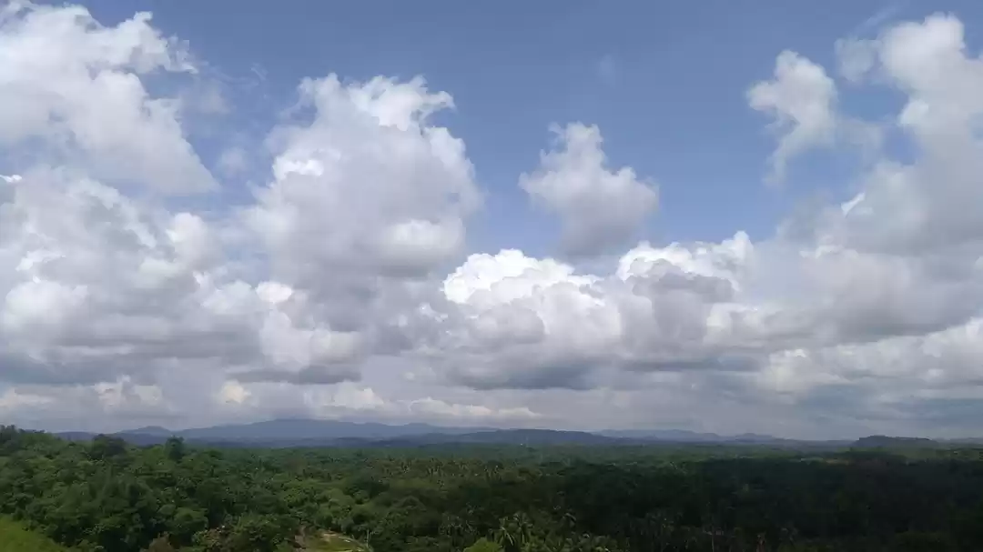 Photo of Chulanur Peafowl Sanctuary