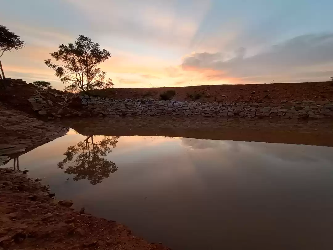 Photo of Best place to watch 