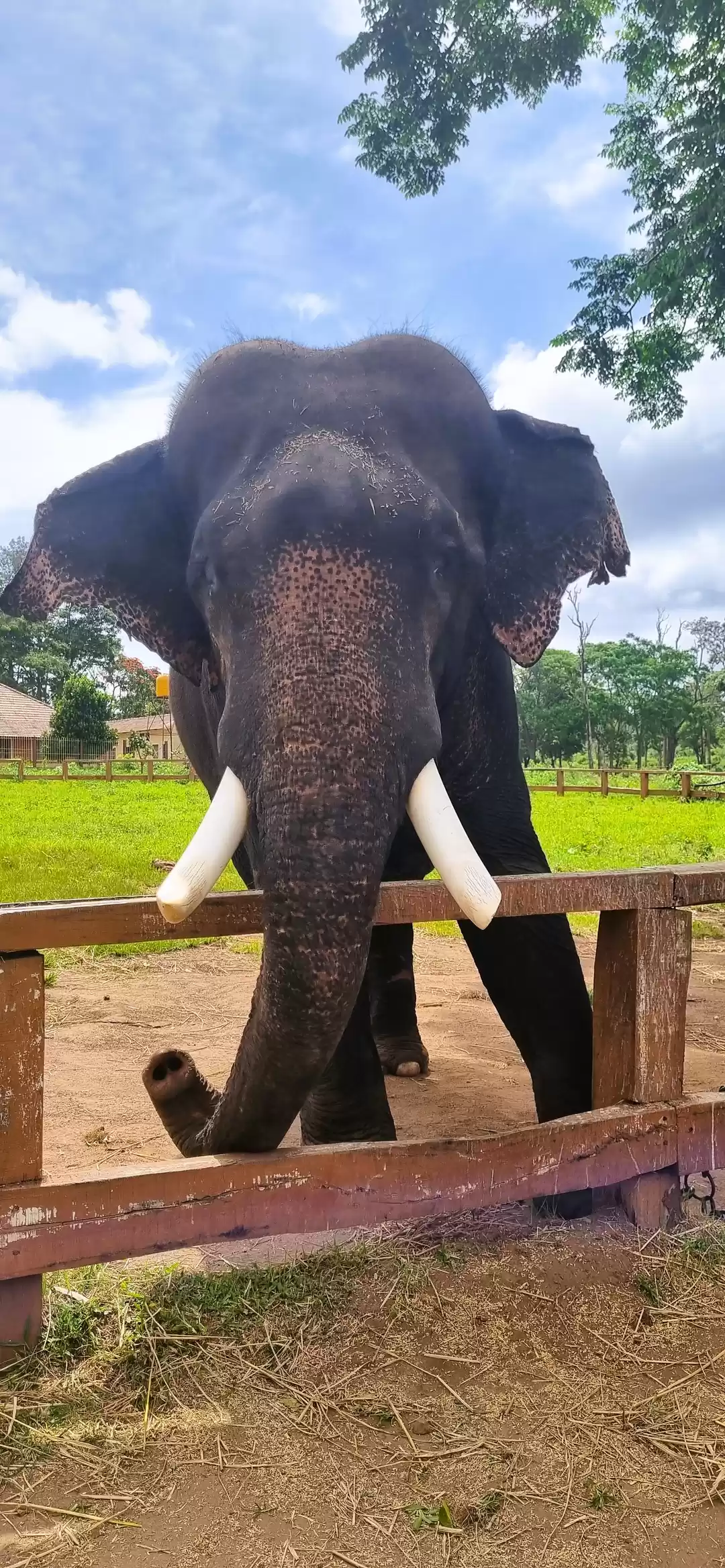 Photo of कुर्ग: भारत का स्कॉट