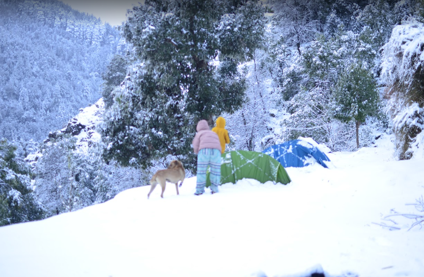 Image 1 of #HQbe- Camping In Mcleodganj ARA Camps