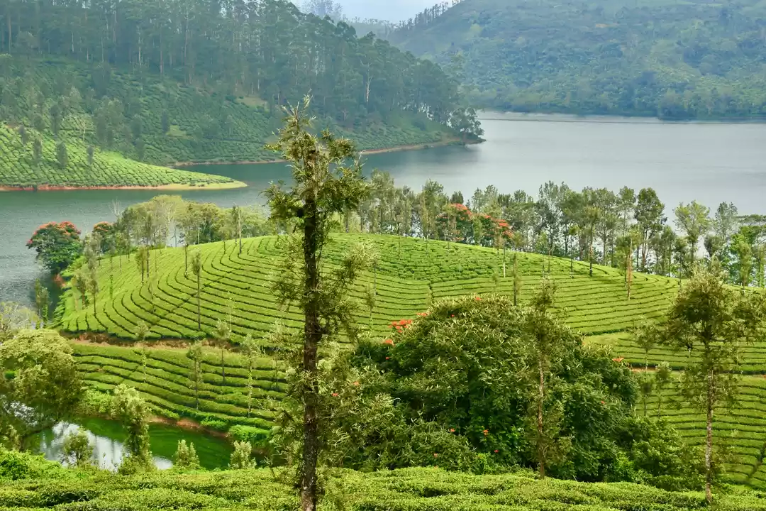 Photo of Sholayar Dam