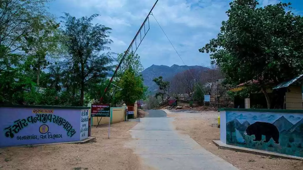 Photo of ફોટોગ્રાફીના શો