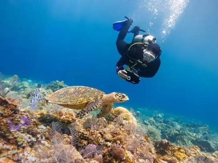 Photo of દ્વારકાના આ બીચ પર સ