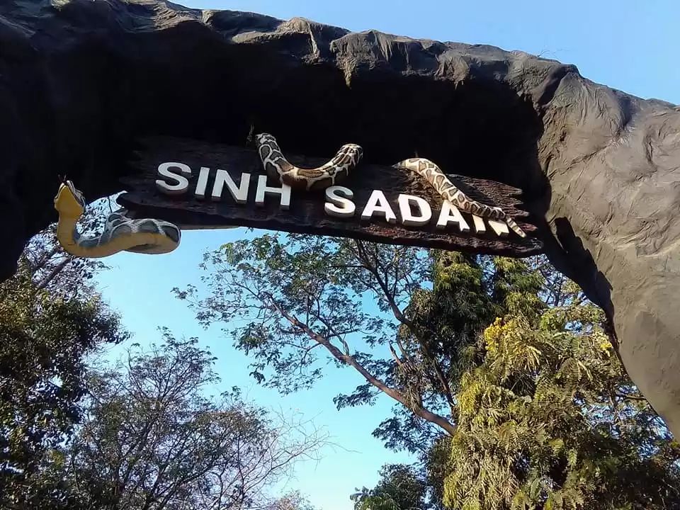 Photo of ચોમાસામાં માણો જંગલન