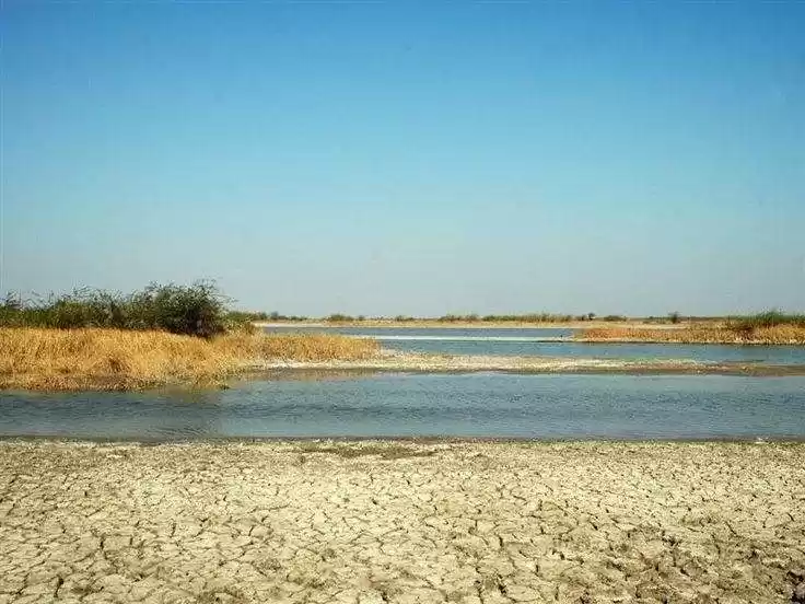 Photo of પહાડોમાંથી નીકળે છે 