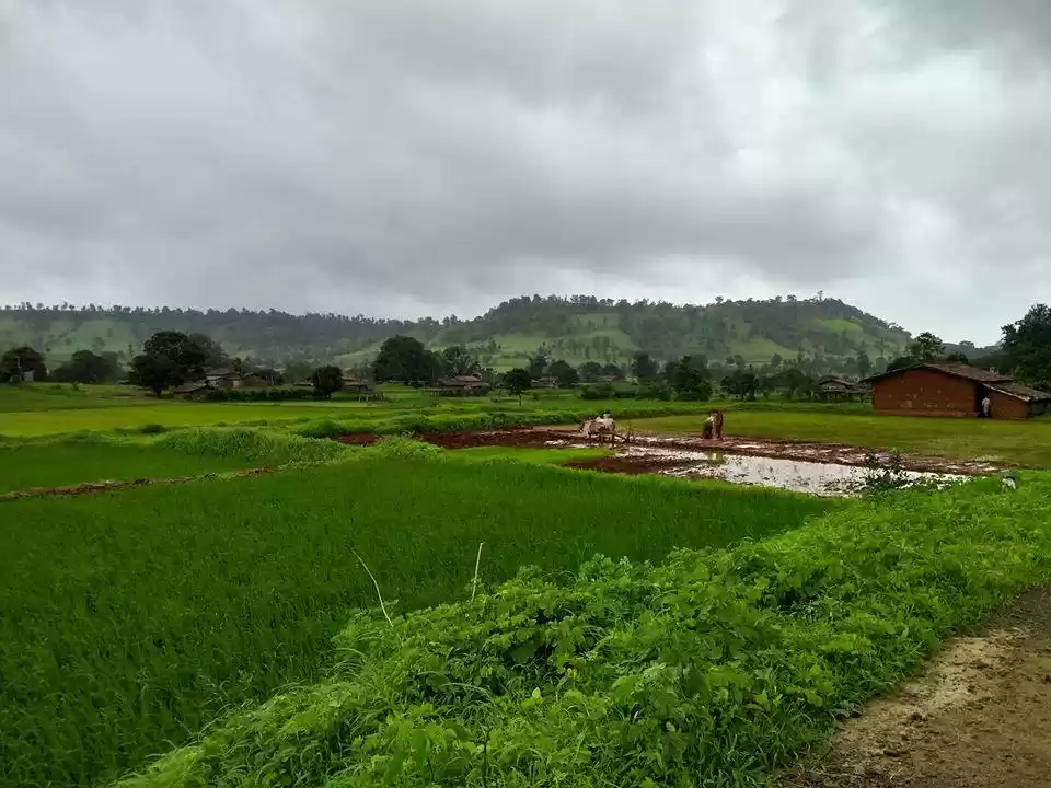 Photo of ચોમાસામાં આ ધોધ સોળે