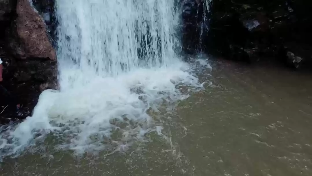 Photo of ચોમાસાની સીઝનમાં ગુજ