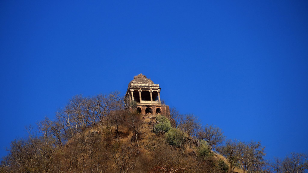 Photo of દિવસે પણ જતા ડર લાગે