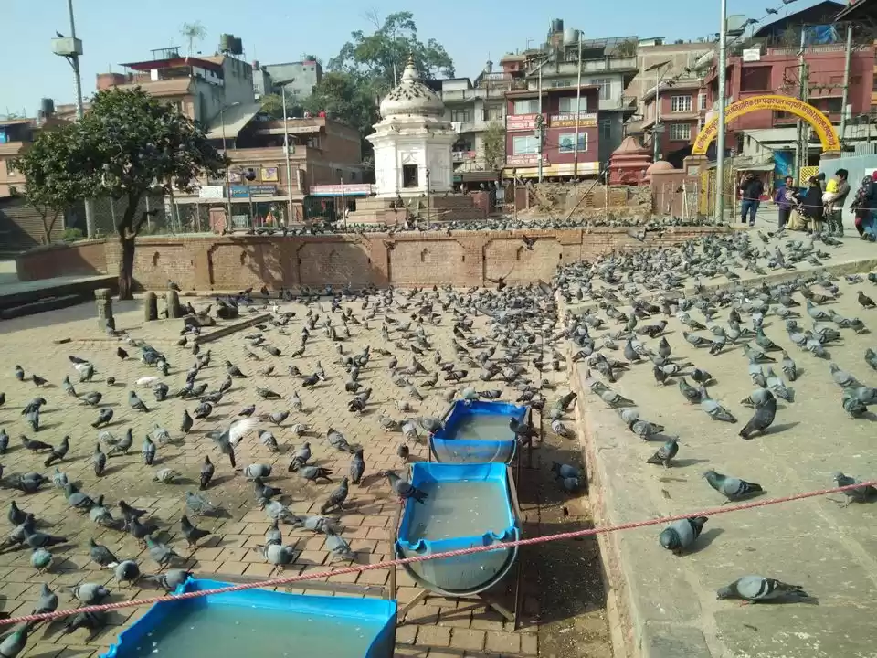 Photo of મનમોહક પહાડો, જીવંત 