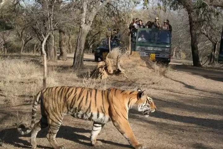 Photo of રજાઓમાં પહોંચી જાઓ ર