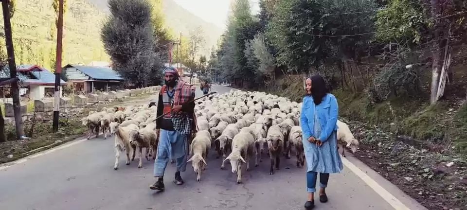 Photo of પહેલગામ, જ્યાં નજર ન