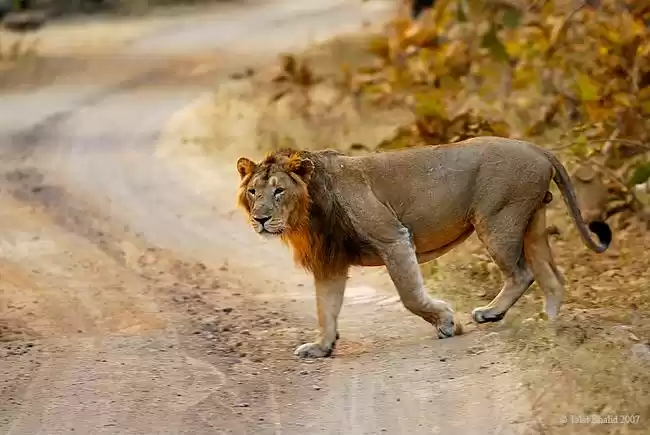 Photo of ગુજરાતના બધા નેશનલ પ