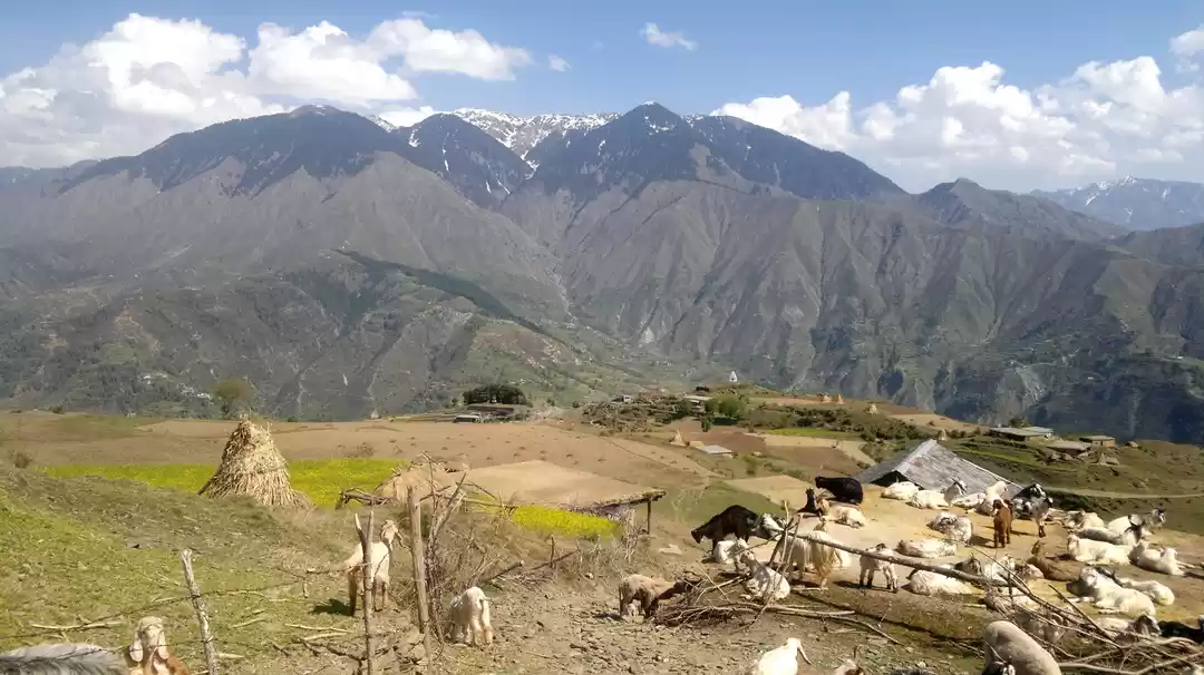 Photo of કેમ બાની વેલીને કહે