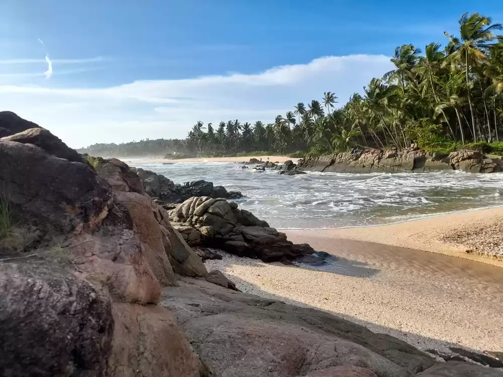 Photo of દોસ્તોની સાથે રોડ ટ્