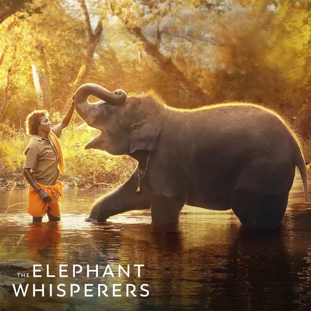 Photo of આ જગ્યાએ શૂટ થઇ હતી 