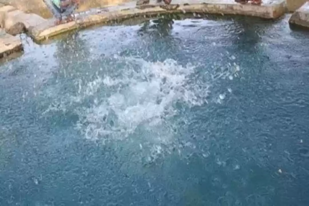 Photo of શું તમે જોયો છે એવો 