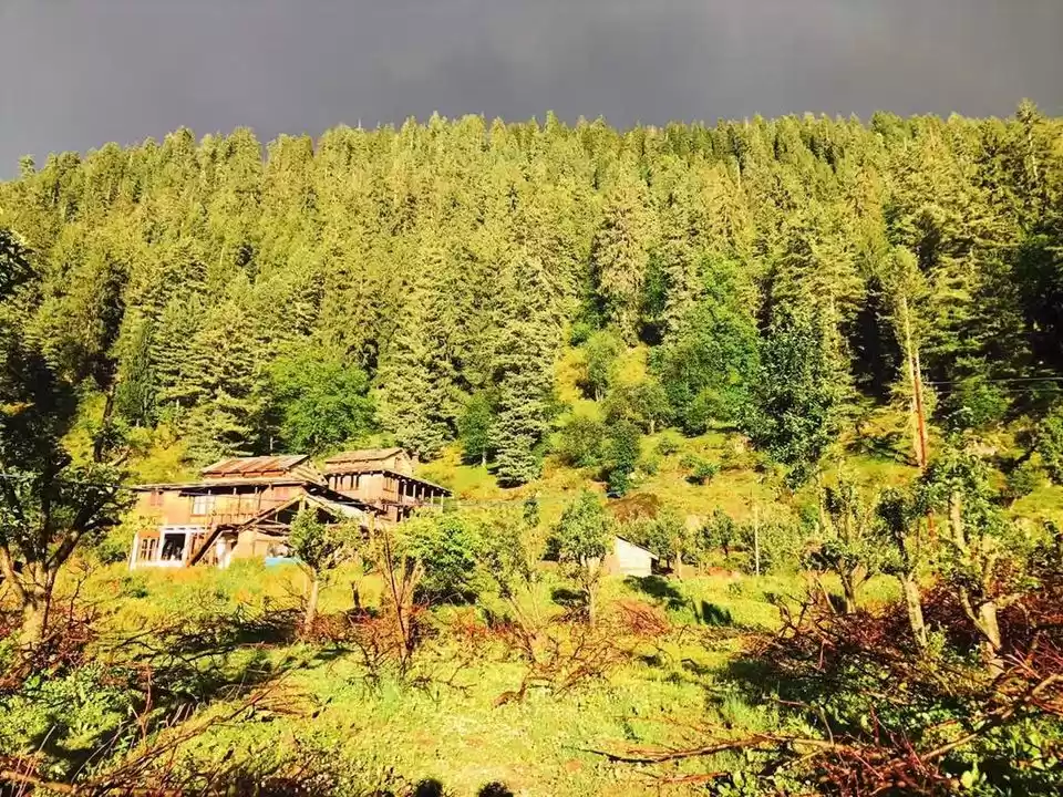 Photo of કલ્ગા-પુલ્ગાઃ હિમાચલ