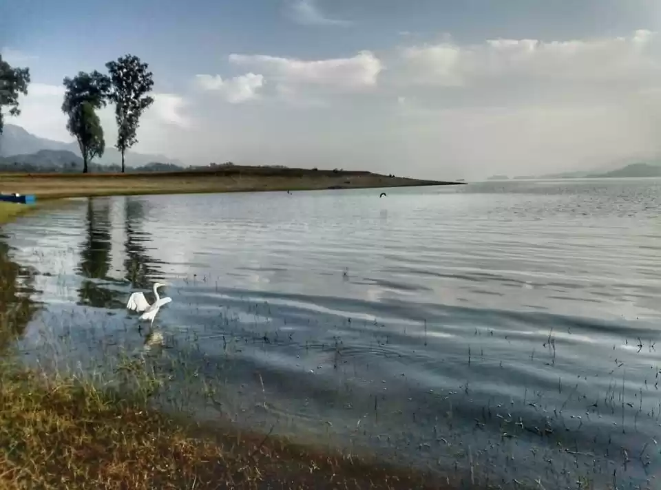 Photo of ઘુમારવીં હિલ સ્ટેશનઃ