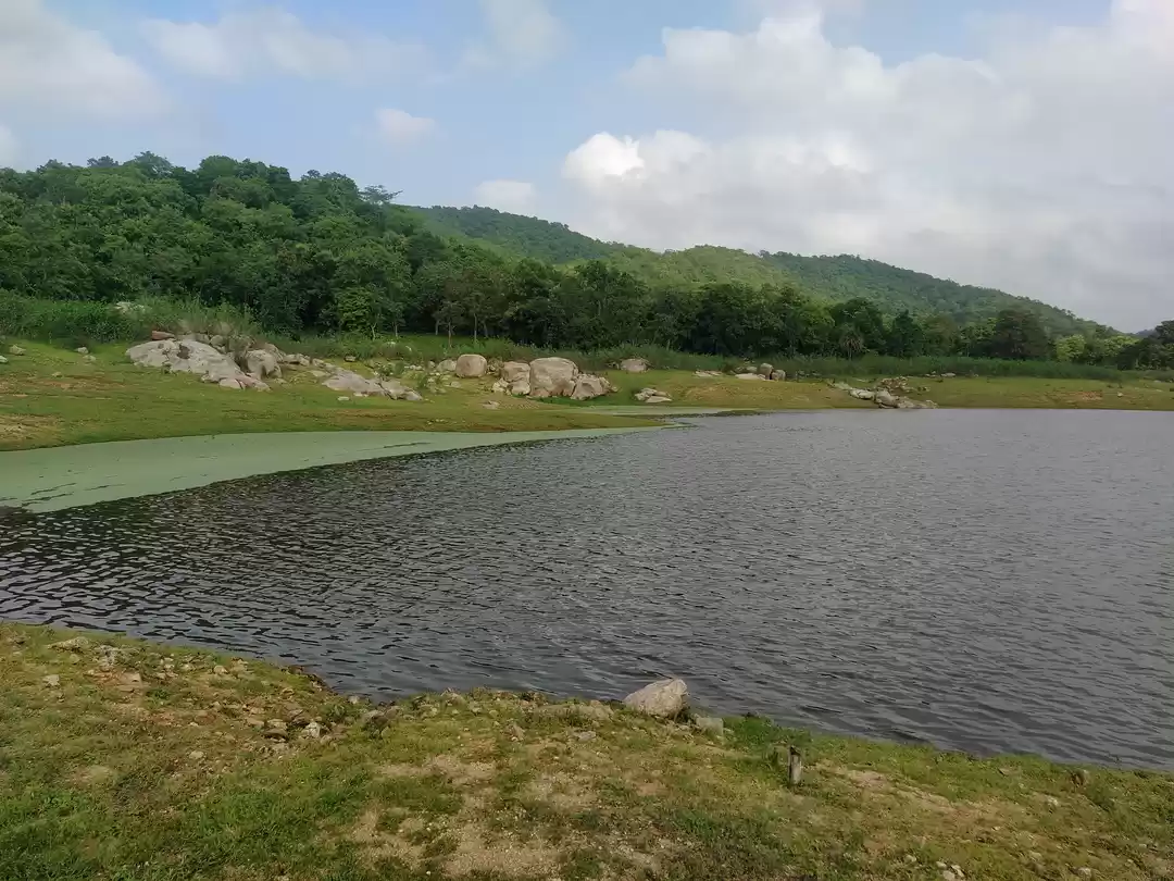 Photo of ચોમાસામાં રતન મહાલ ટ