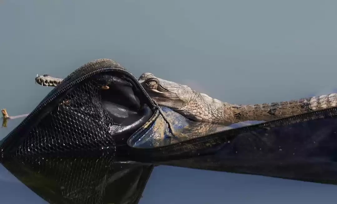 Photo of અહીં બનશે રાજસ્થાનનો