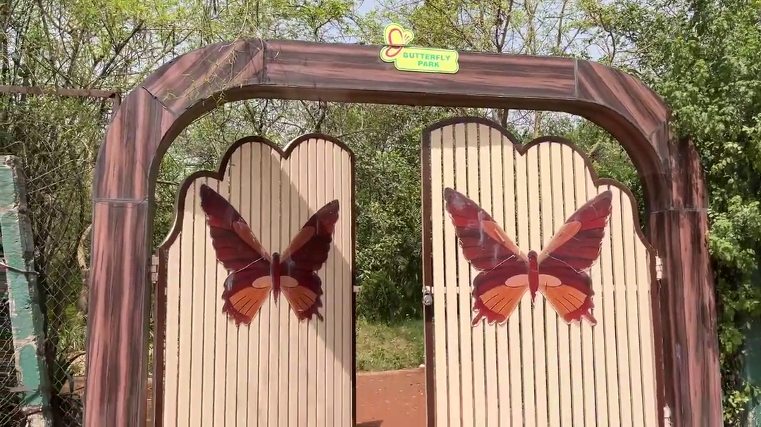 Photo of જાણો 2.5 એકરમાં ફેલા