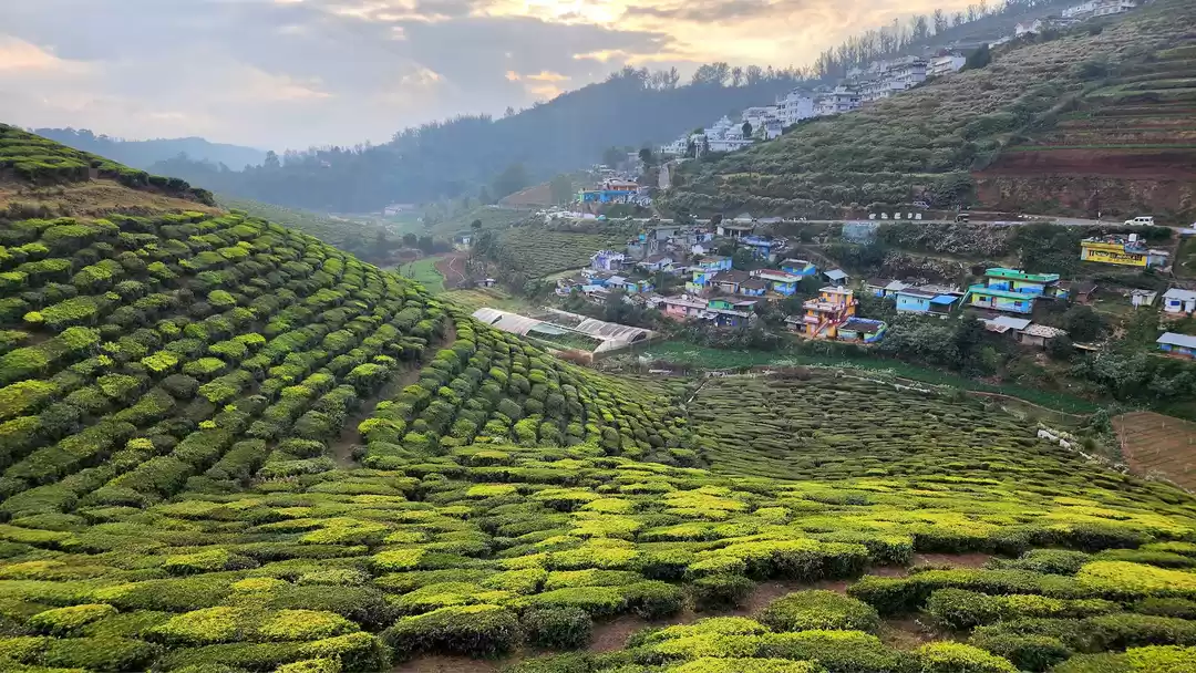 Photo of Ketti Valleyની સુંદર