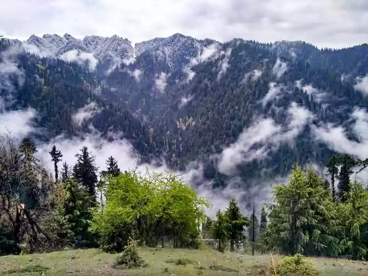 Photo of હનીમૂન મનાવવા માટે જ