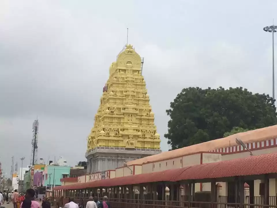 Photo of જોવા માંગો છો અસલી ત