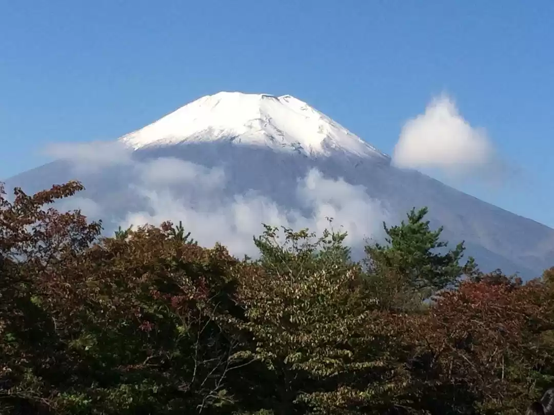 Photo of ગરમીઓમાં જાપાન ફરવાન