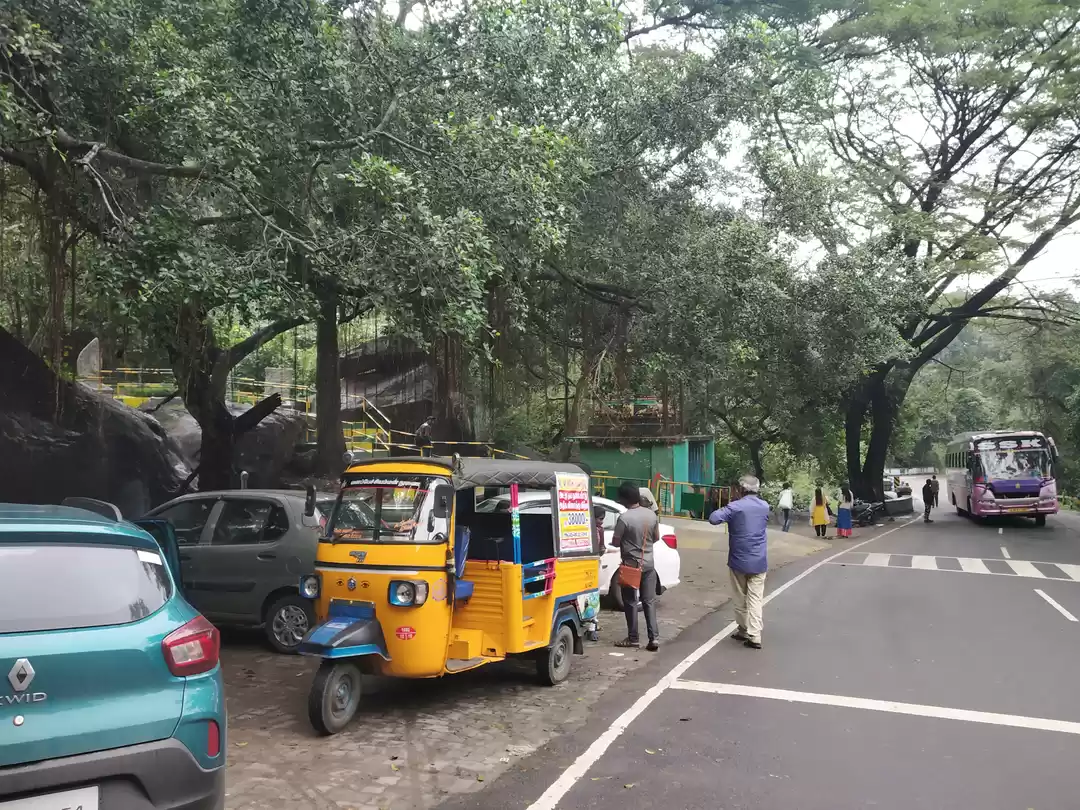 Photo of Monkey Falls