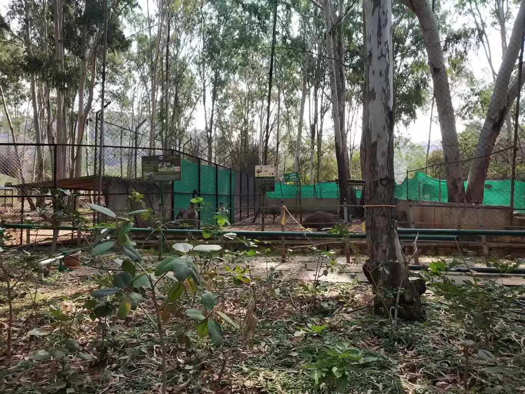 Photo of Adumalleshwara Temple