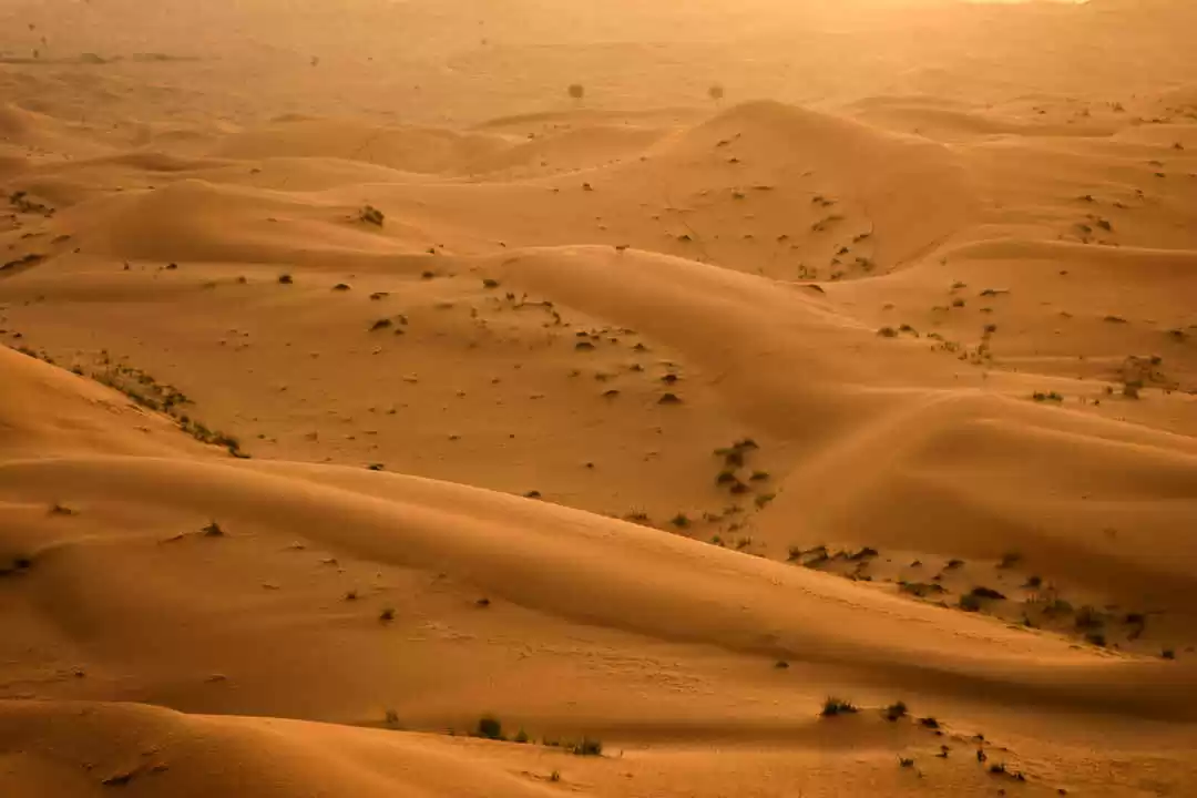 Photo of Water Parks, Sa