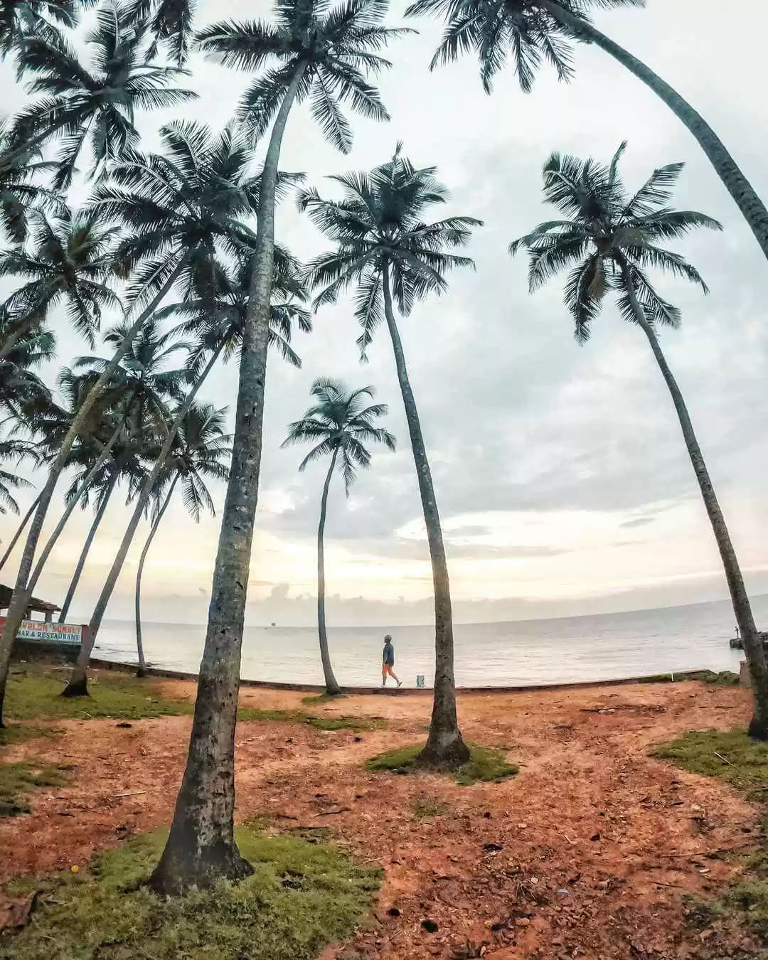 Photo of Sunset Spots in