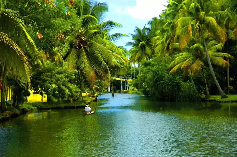 Kerala Tourism (2023) > Packages & Guide For God's Own Country