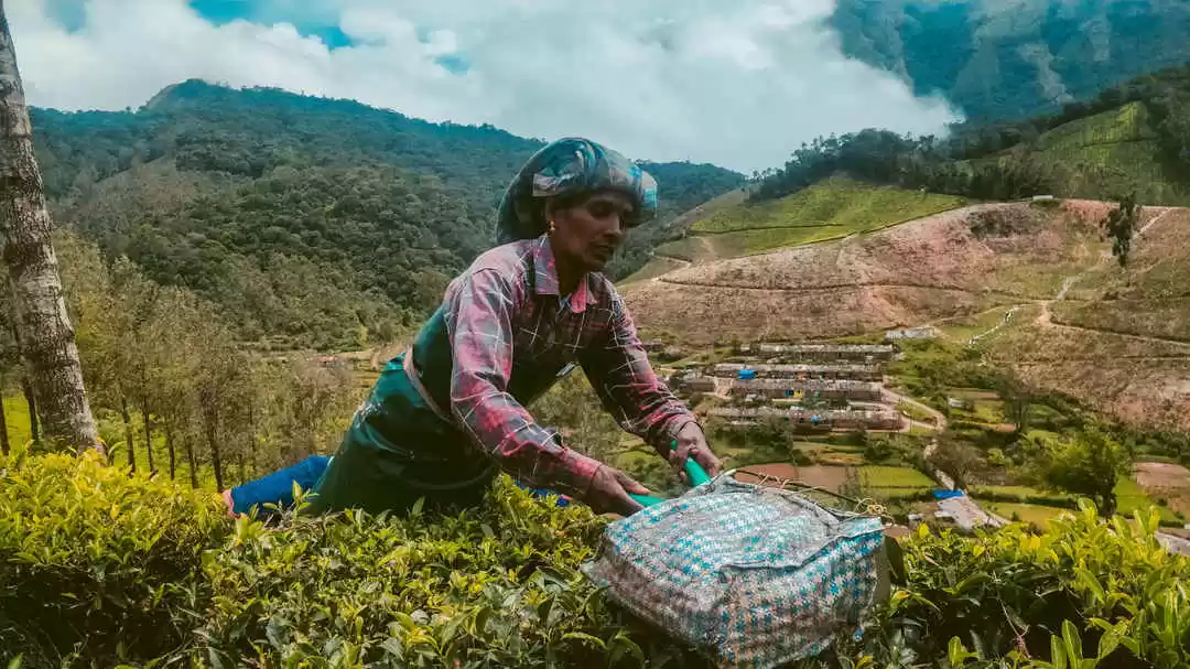 Photo of 'KERA ALAM' - K