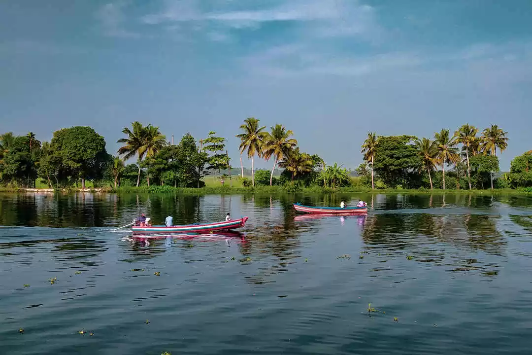 Photo of Postcards From 