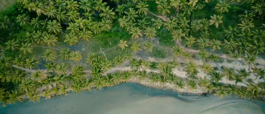 Photo of Driving Down Th