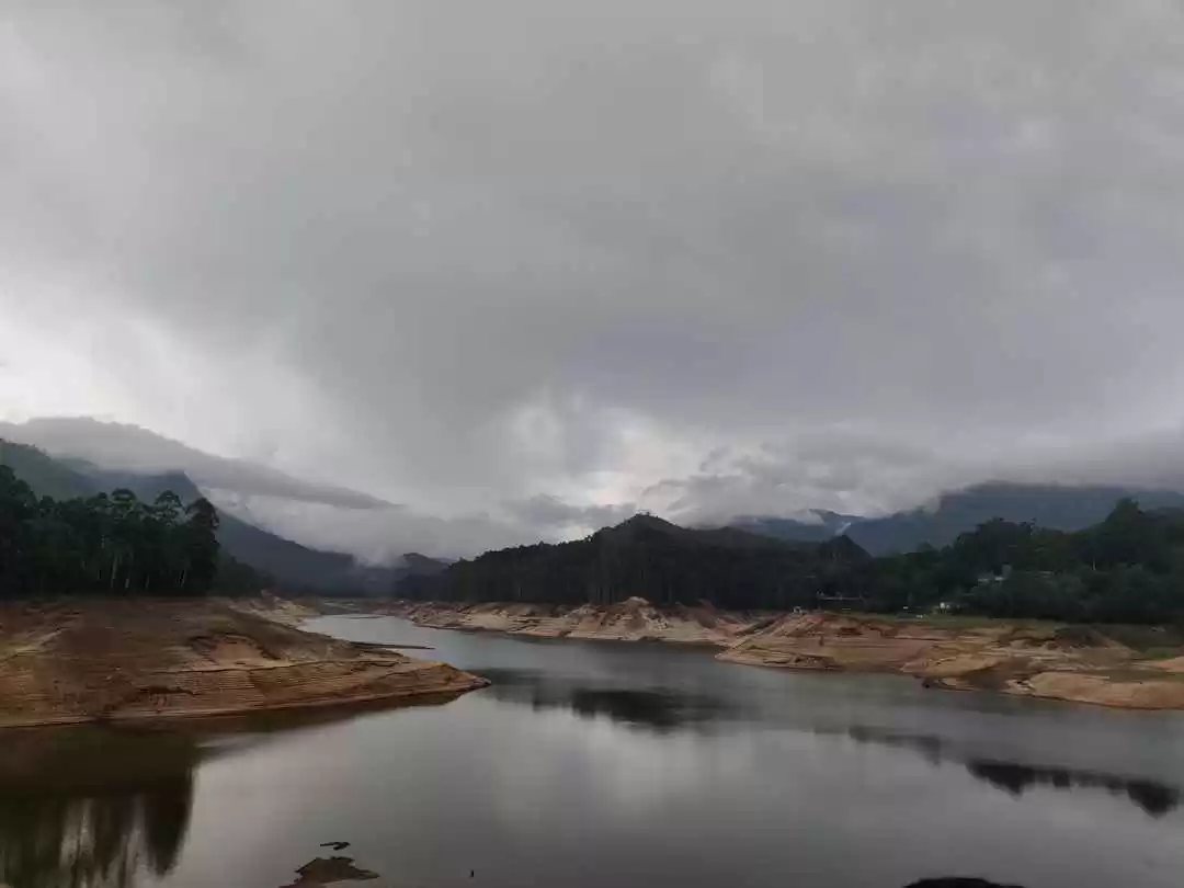 Photo of Munnar- Kerala