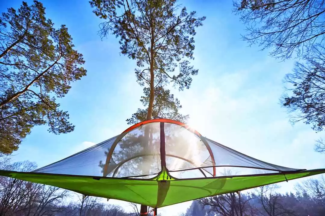 Photo of Greenest Hotel 